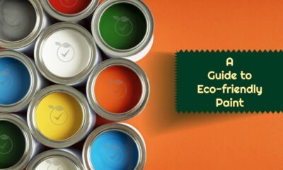 Eco-Friendly or Green Paint: What is it and How to Identify Them?