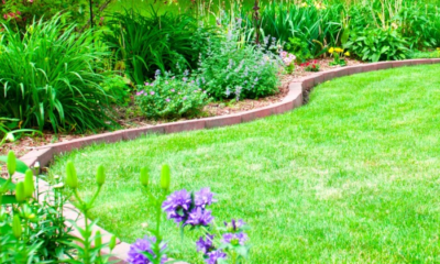 15+ Backyard Landscaping Ideas on a Budget That You NEED to Know ...