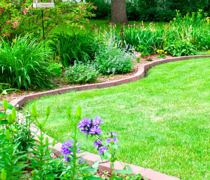 15+ Backyard Landscaping Ideas on a Budget That You NEED to Know ...