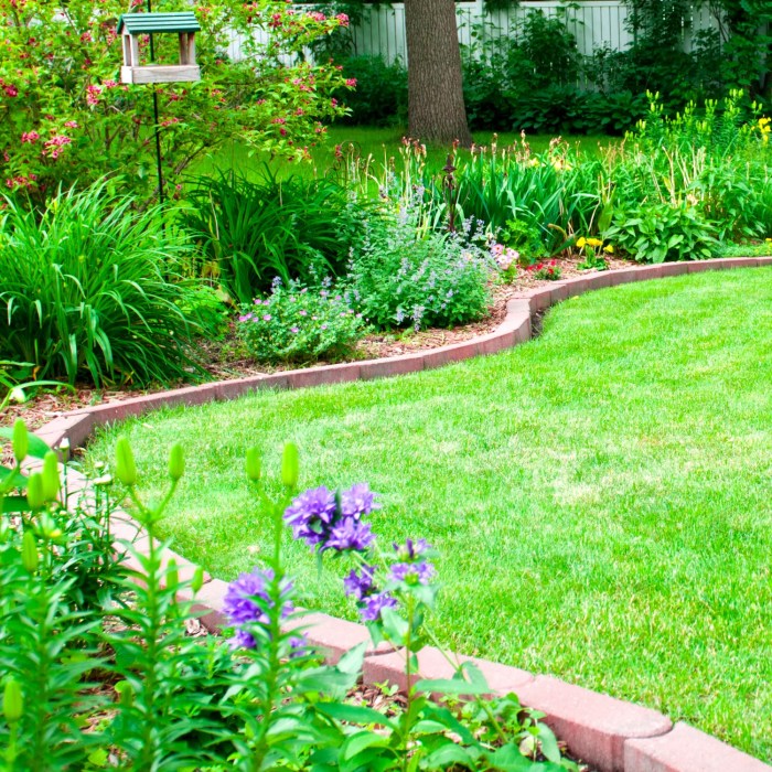 15+ Backyard Landscaping Ideas on a Budget That You NEED to Know ...