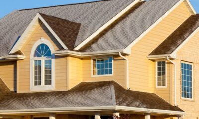 Best House Siding Options