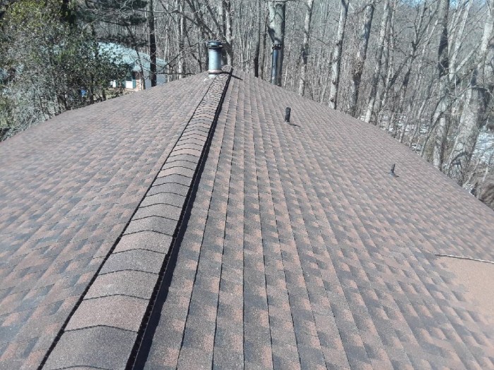 Hickory Roofs | Summit Home Remodeling