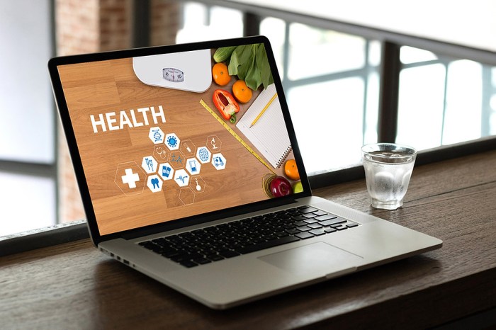 Online Wellness Platforms