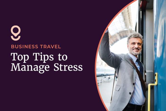 Stress-Free Business Travel: The Ultimate Guide To A Productive Trip ... Stress-Free Business Travel: The Ultimate Guide To A Productive Trip ...