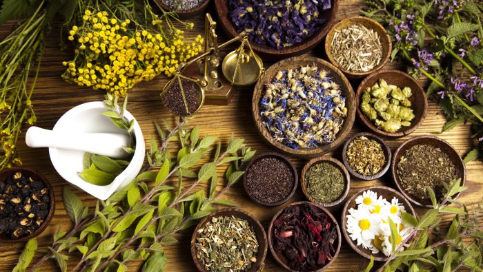 Herbal treatment, medical herbalist in West London: Hammersmith ...