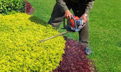 Landscaping Contractors Near Me - The Vine Landscaping