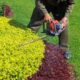 Landscaping Contractors Near Me - The Vine Landscaping