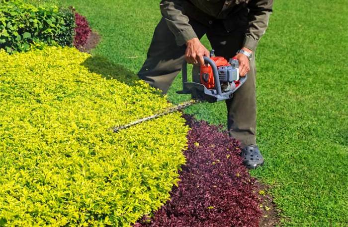 Landscaping Contractors Near Me - The Vine Landscaping