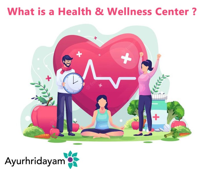 What Is A Health And Wellness Center?