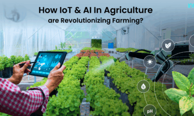 AI and IoT in Agriculture: Revolutionizing Smart Farming